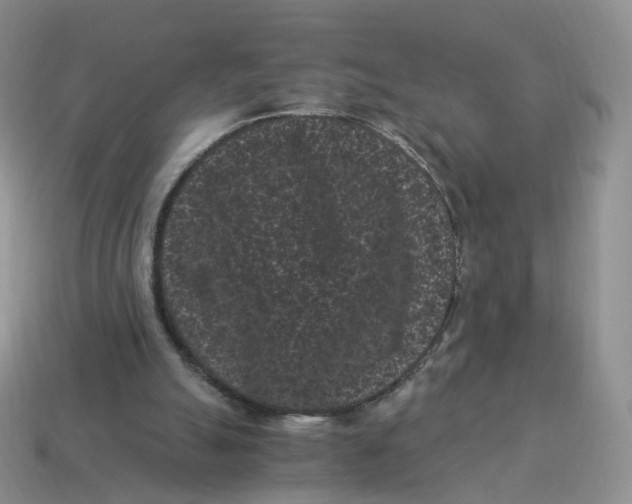 X0000114520055200911091159