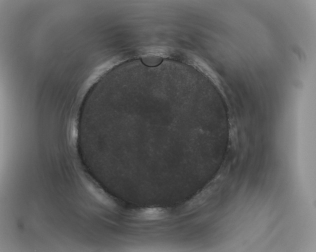 X0000114520059200911091159