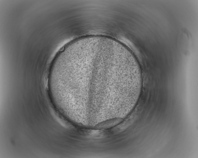 X0000114520060200911091159