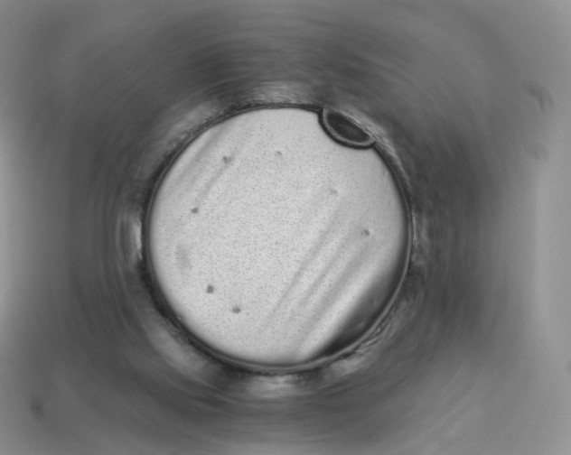 X0000114520061200911091159