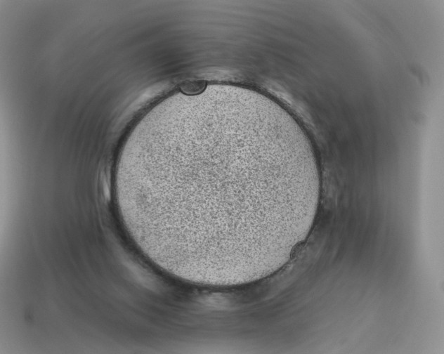 X0000114520062200911091159