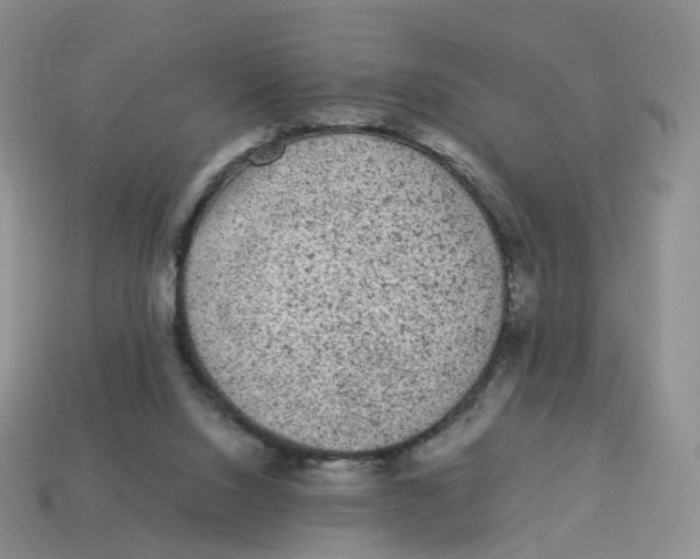 X0000114520064200911091159