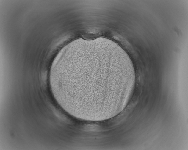 X0000114520066200911091159