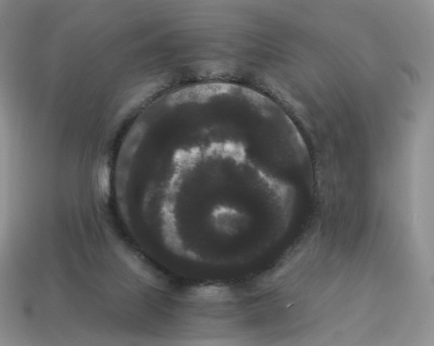 X0000114520067200911091159