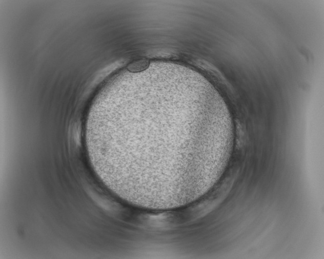 X0000114520068200911091159