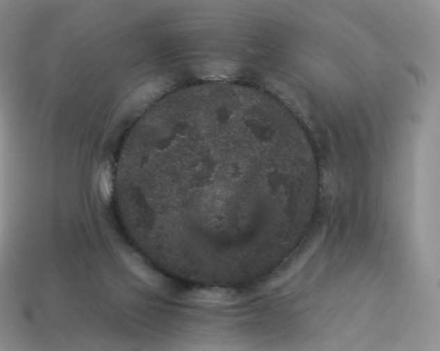 X0000114520069200911091159