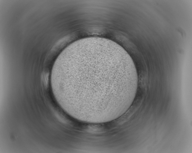 X0000114520070200911091159