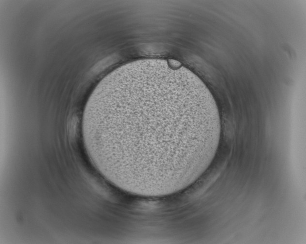 X0000114520071200911091159