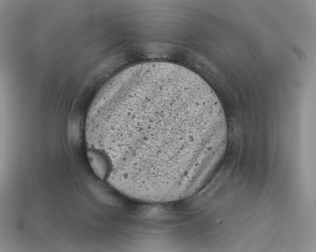 X0000114520074200911091159