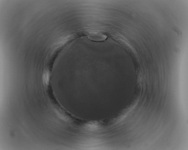 X0000114520076200911091159