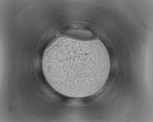 X0000114520078200911091159