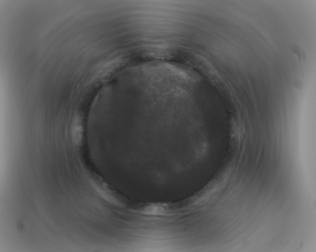 X0000114520080200911091159