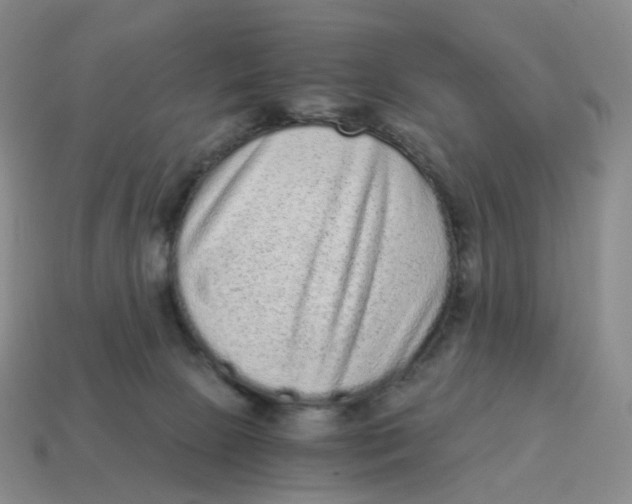 X0000114520081200911091159