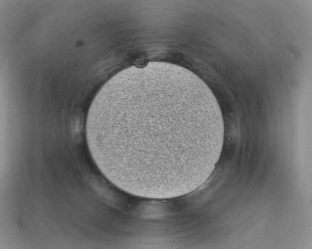 X0000114520082200911091159