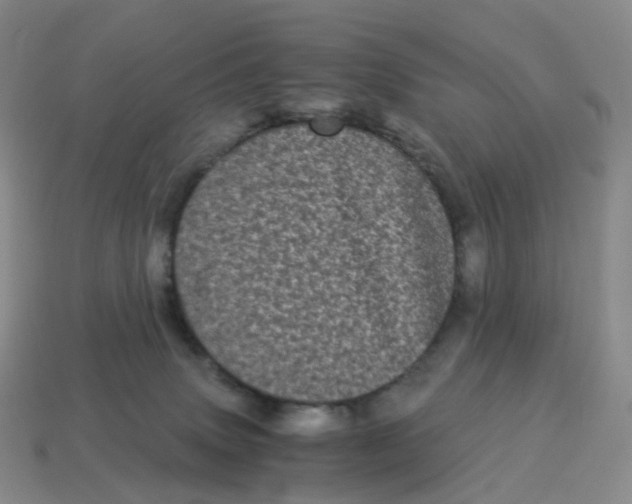 X0000114520083200911091159