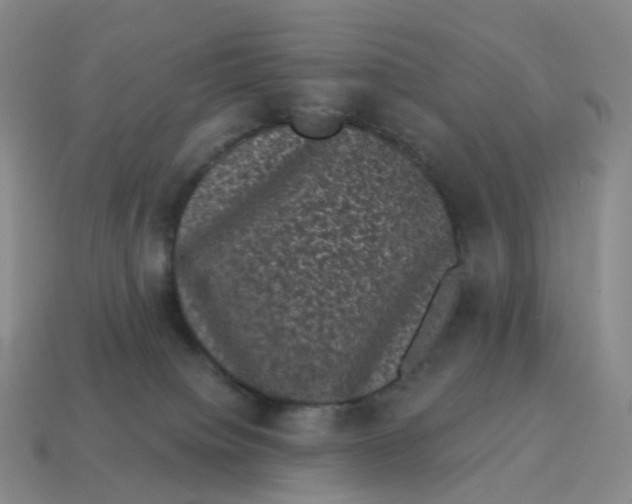 X0000114520084200911091159