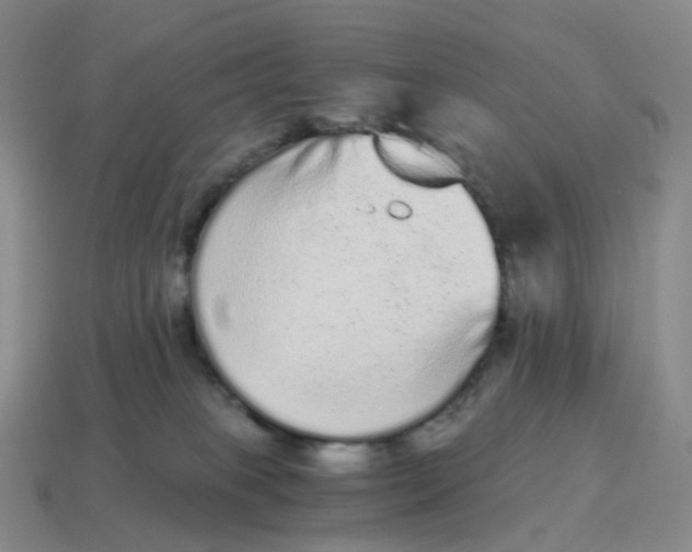 X0000114520085200911091159