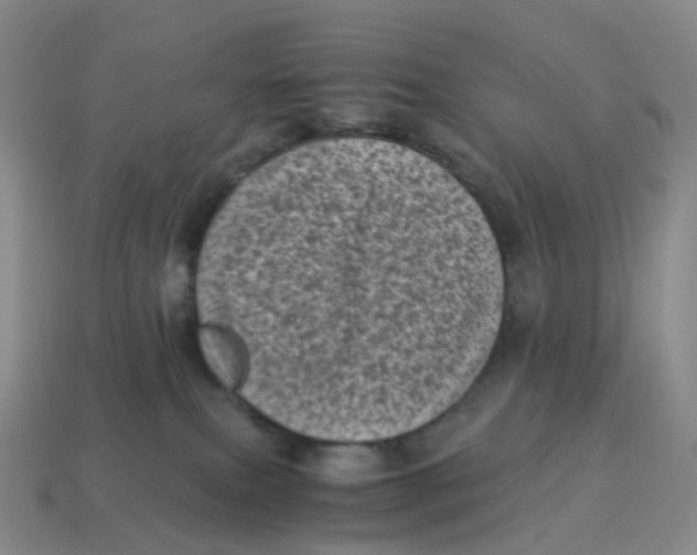 X0000114520087200911091159