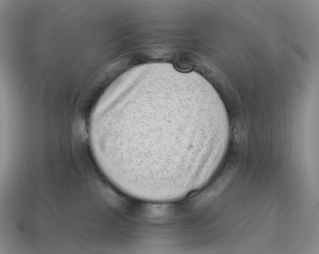 X0000114520089200911091159