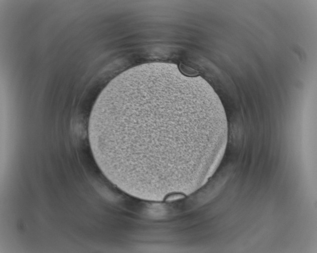 X0000114520091200911091159