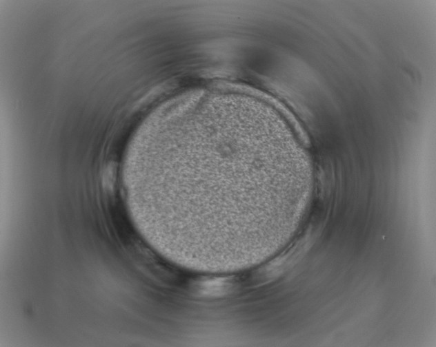 X0000114520093200911091159