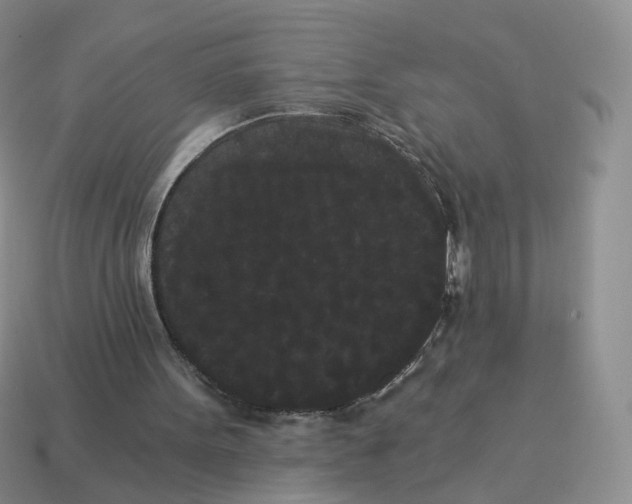 X0000114520099200911091159