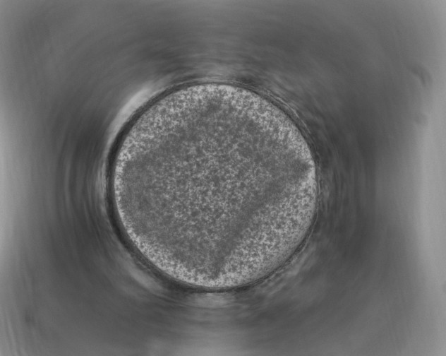 X0000114520102200911091159