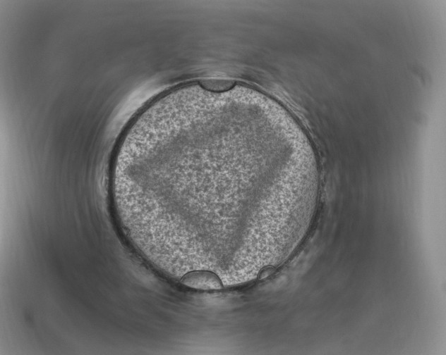 X0000114520103200911091159