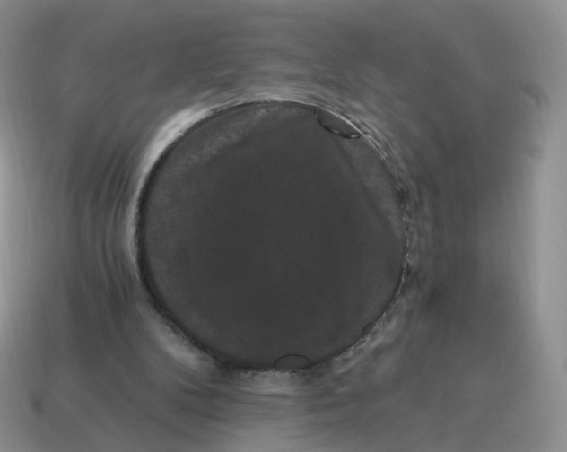 X0000114520104200911091158