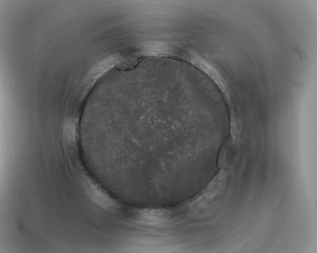 X0000114520105200911091158