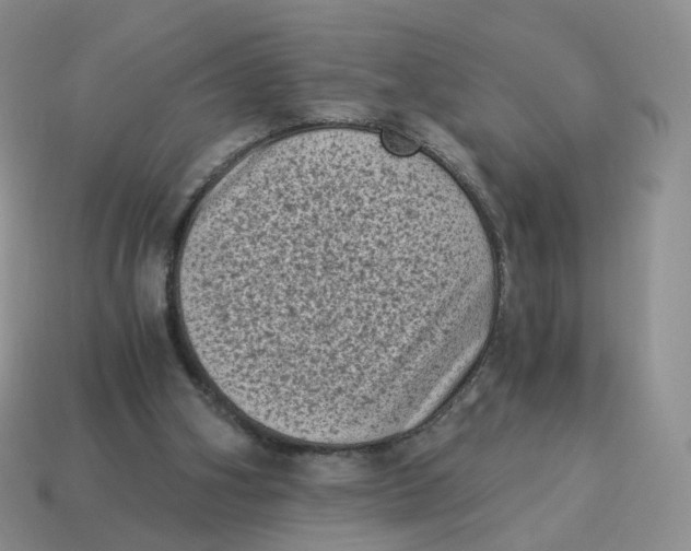 X0000114520106200911091158