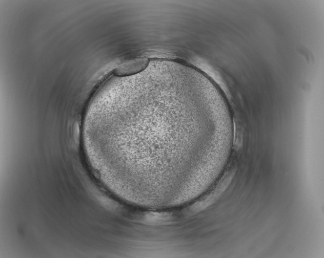 X0000114520109200911091158