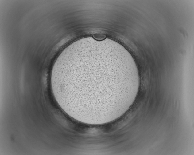 X0000114520111200911091158