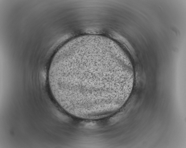 X0000114520113200911091158