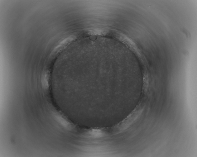 X0000114520114200911091158