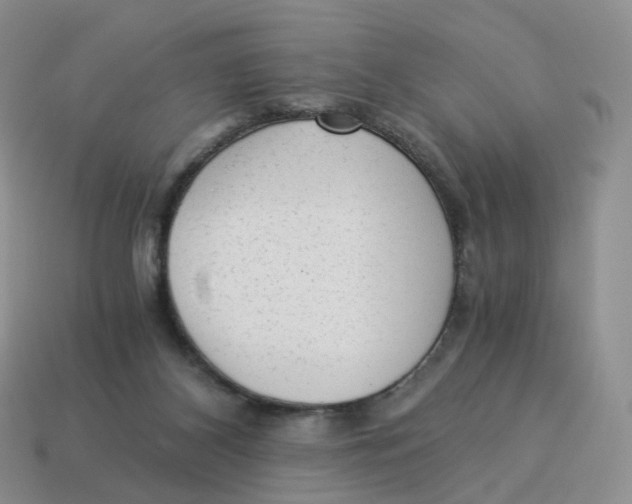 X0000114520116200911091158