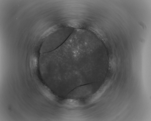 X0000114520117200911091158