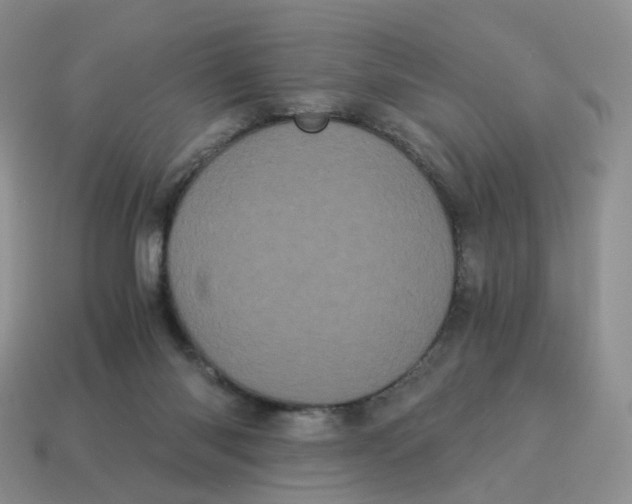 X0000114520118200911091158