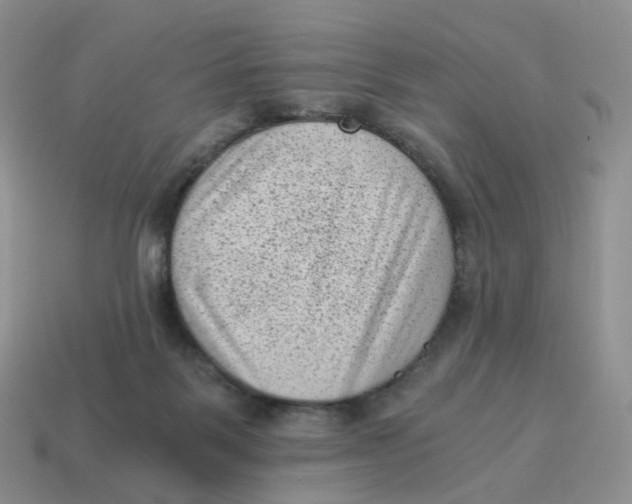 X0000114520123200911091158