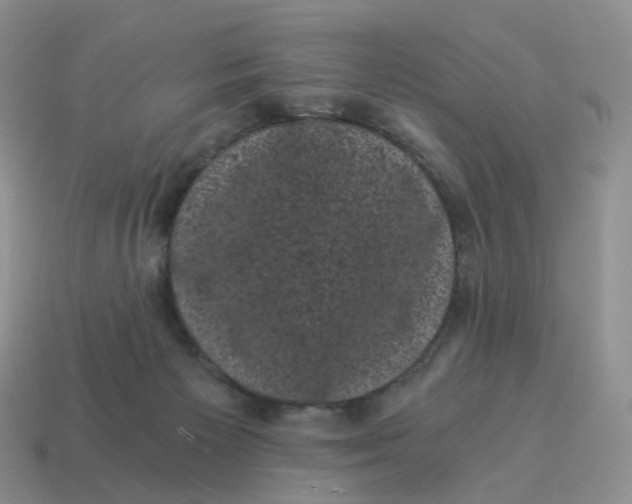 X0000114520125200911091158