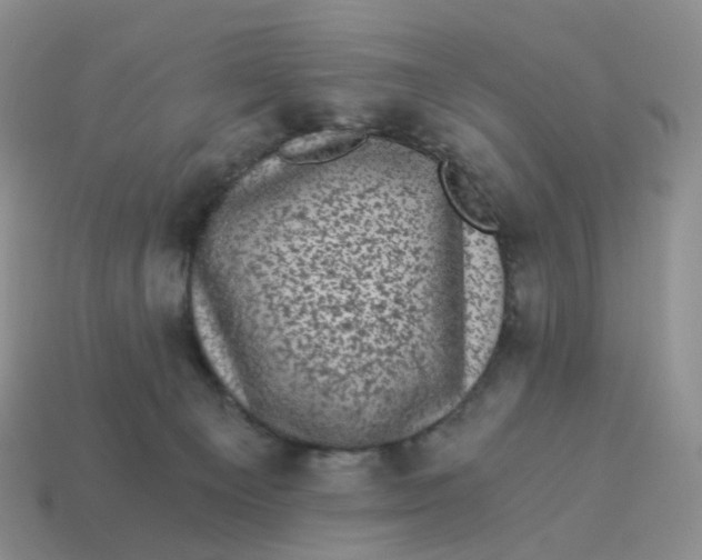 X0000114520129200911091158