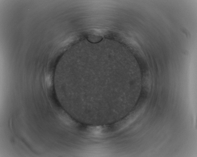 X0000114520131200911091158