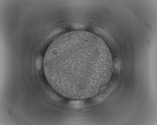 X0000114520133200911091158