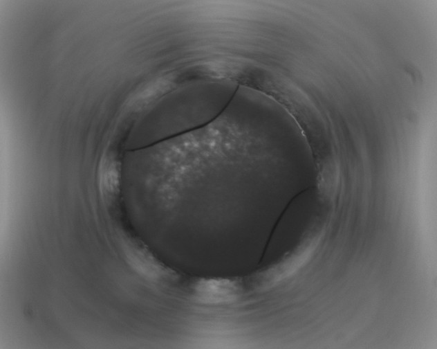 X0000114520137200911091158