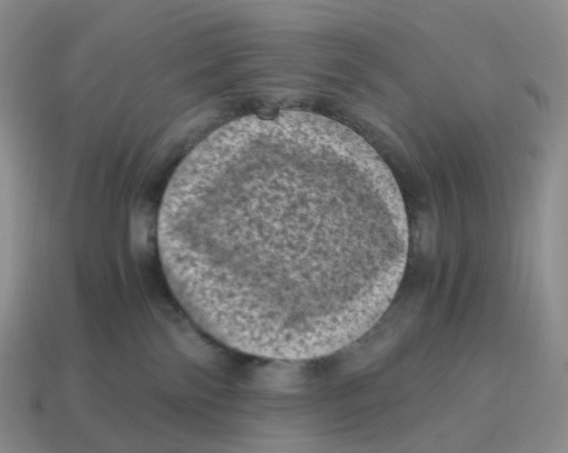 X0000114520138200911091158