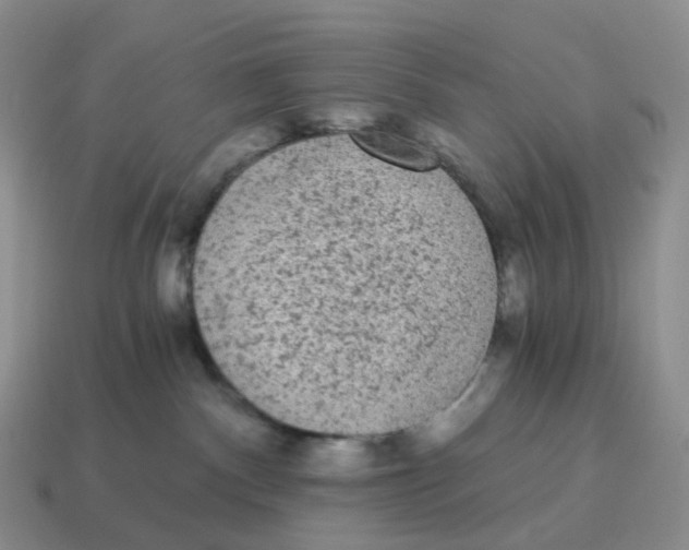 X0000114520140200911091158