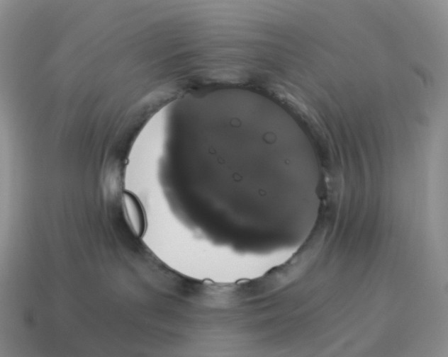 X0000114520143200911091158