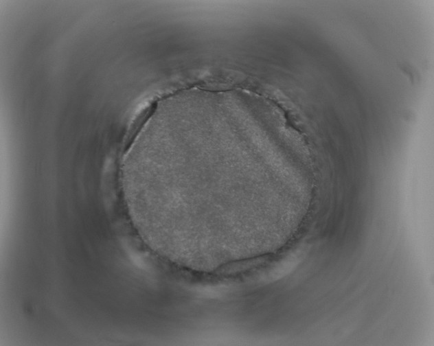 X0000114520144200911091158