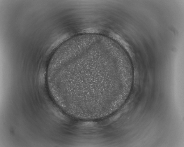 X0000114520153200911091157