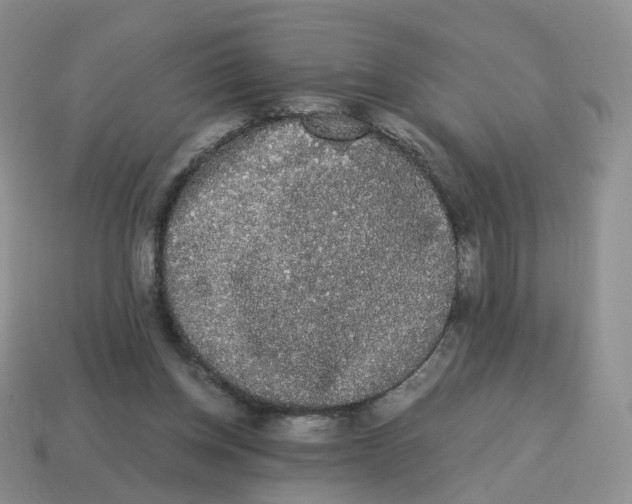 X0000114520158200911091157